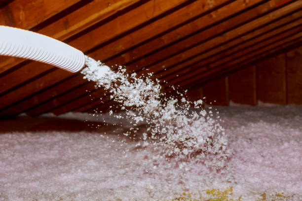 Best DIY Insulation Kits and Guidance in Cottonwood Shores, TX