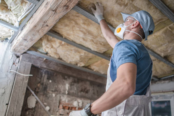 Trusted Cottonwood Shores, TX Insulation Contractor Experts
