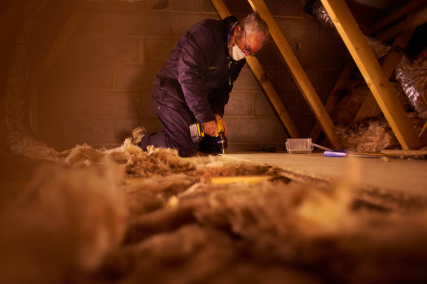 Best Insulation Maintenance and Repair in Cottonwood Shores, TX